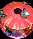 Butterfly Daisy Birthday cake,  Yellow buttercream iced,  Round decorated with butterflies.  Everything on this cake is EDIBLE.  (Serves 8-80 party slices)